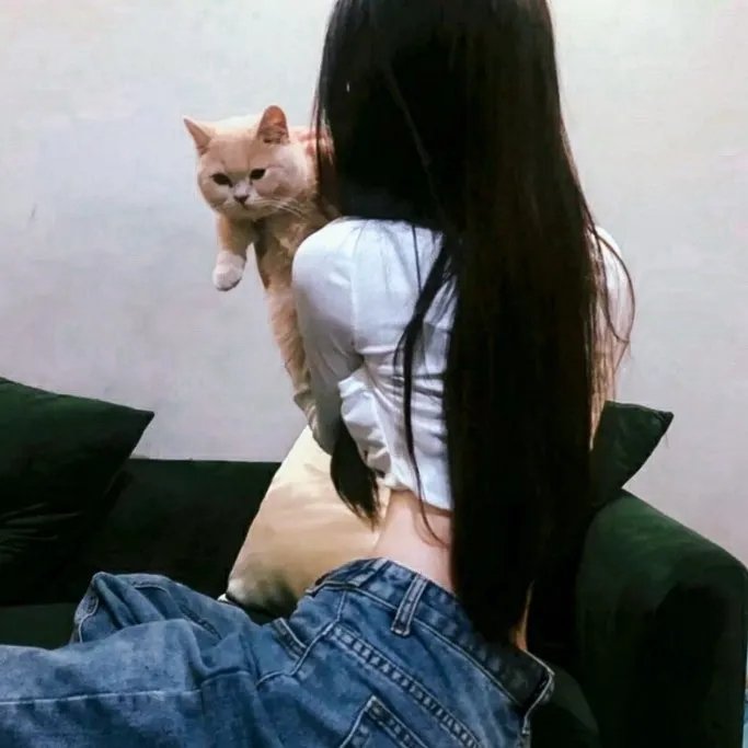 蓝色杰伊